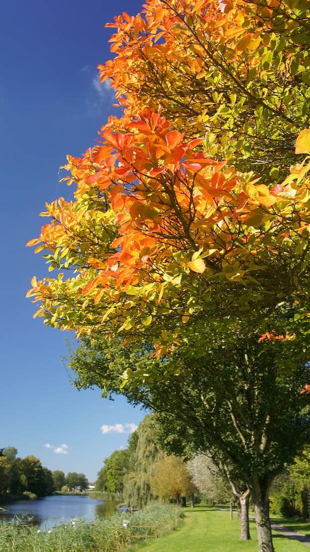 07.10.2023_День рождения