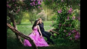 Сиреневый вечер