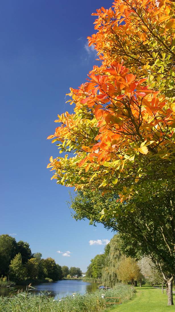 07.10.2023_День рождения