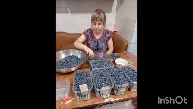 Дневник Сони (аутизм). Моя помощница смотреть онлайн