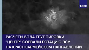 Расчеты БПЛА группировки "Центр" сорвали ротацию ВСУ на красноармейском направлении
