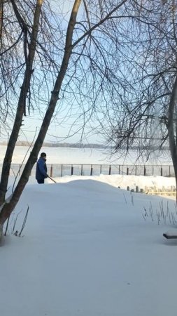 Мотособаки.