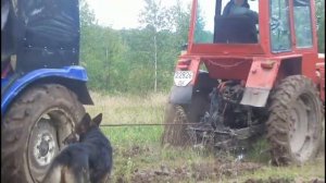 Т 25 проти китайця