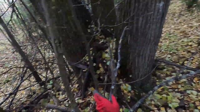 ВЕРХОВЫЕ НАХОДКИ В ГУСТОМ ЛЕСУ И НЕ ТОЛЬКО!  — КОП МЕТАЛЛА