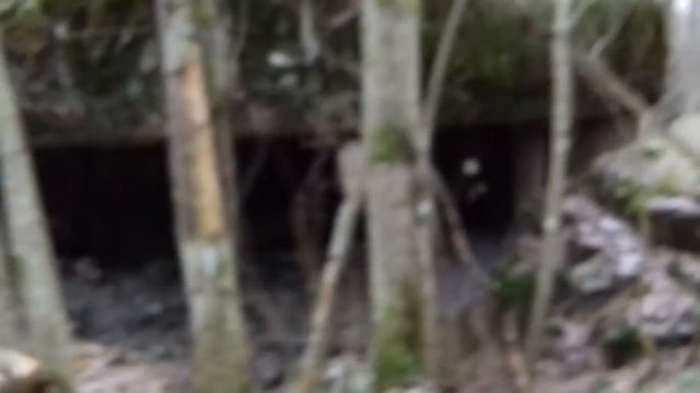 Финский Дот.Муола. смотреть онлайн