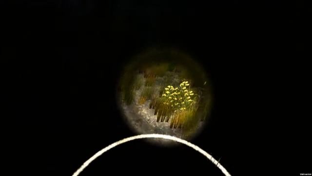 Строим кирпичный дом в Survivers Viy смотреть онлайн