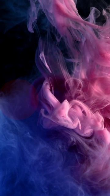 Top 3 Dangerous Snakes ☠️😱 | Dangerous Snakes | #shorts #snake #AShortADay смотреть онлайн