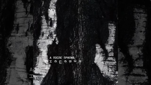 Чертополох