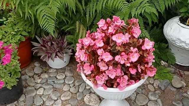 Цветочный угол на участке (2023) смотреть онлайн