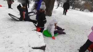 Катаемся на ледянке