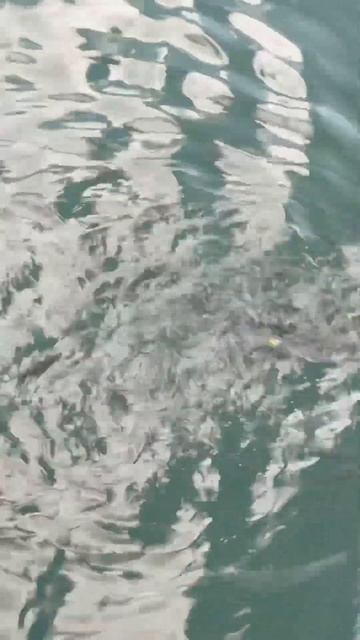 Самое романтичное место Израиля! #Герцлия #израиль #блогерыизраиля #travel #репатриация #israel смотреть онлайн