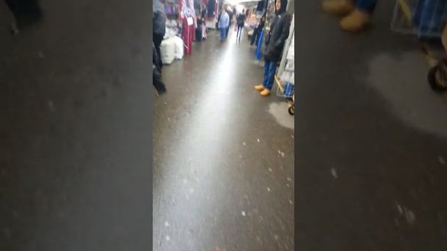 Звезда экспобела! смотреть онлайн