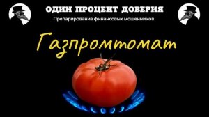 Газпромтомат (день первый)