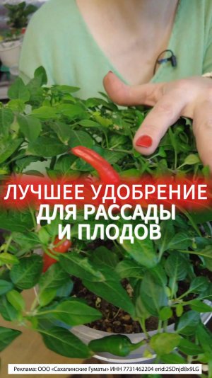 УДОБРЕНИЕ ДЛЯ РАССАДЫ ПЕРЦА