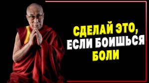 Как избегать любую боль? - Советы Далай-Ламы, которые я хотел бы узнать раньше