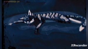 коты воители топ 5 моих любимых котов воителей(моё мнение)