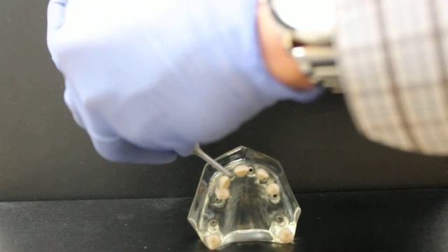 Neodent Facility Anatomic Abutment   Remove смотреть онлайн