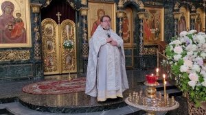 Обетование Святаго Духа. Проповедь о. Константина Корепанова на Вознесение Господне (13.06.2024)