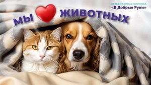 Ветеринарная клиника "В Добрые Руки" Мы любим животных!