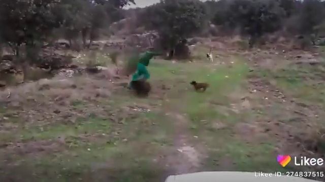 Москва узбекистан самарканд бухара кашкадарья такси смотреть онлайн