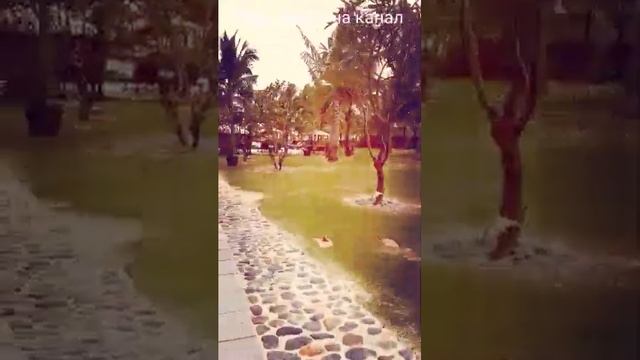 Рум-тур по отелю Ривьера в Нячанге