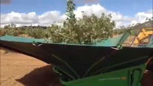Трактор собирает урожай