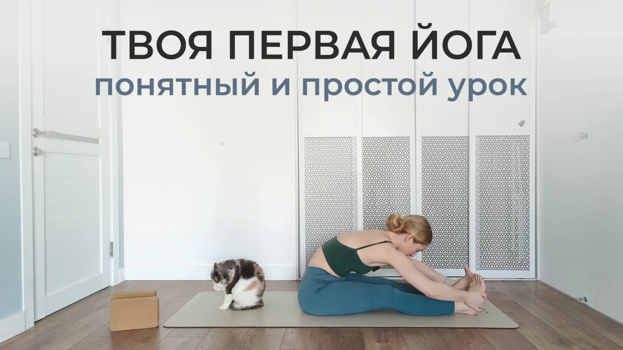 ЙОГА ДЛЯ НАЧИНАЮЩИХ С НУЛЯ: полный урок для новичков | простая йога Айенгара для женщин