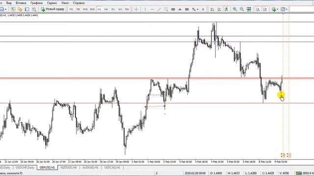 Ежедневная аналитика рынка форекс от Андрея Рындыча смотреть онлайн