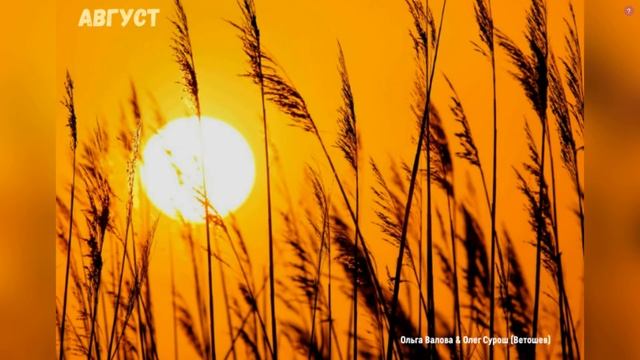 АВГУСТ смотреть онлайн