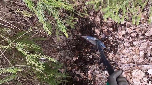ВЫЕХАЛИ НА КОП — УДИВИЛИСЬ НАЙДЕННОМУ ЗА ПОСЕЛКОМ!
