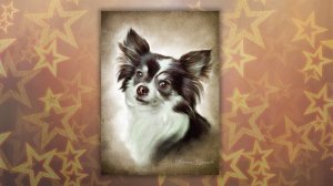 Портрет очень милой собачки