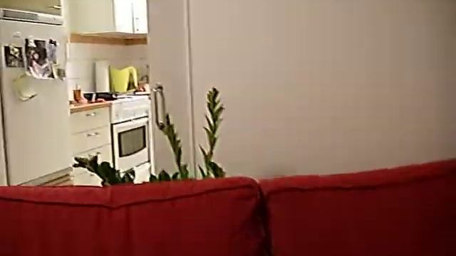 snabbtitt i min lägenhet смотреть онлайн