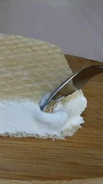 Потрясающее домашнее мороженое shorts