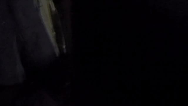 Козлята на первой прогулке | 8 апреля 2018 | В мире животных смотреть онлайн