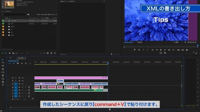 【Premiere Tips -上級編-】他アプリケーションへの書き出し方法 XML смотреть онлайн