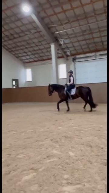 О работе корпуса на рыси. Строевая рысь смотреть онлайн