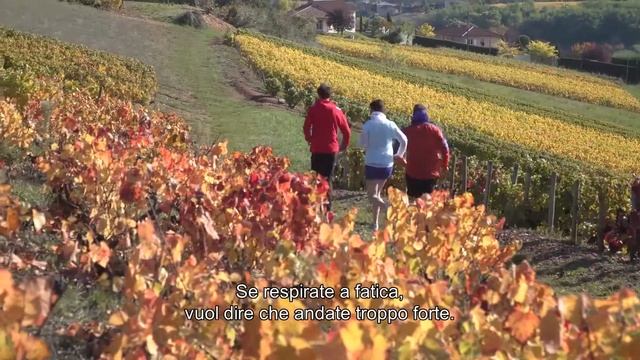 Salomon - How To Trail Run - Episode 6: Manage Time & Fatigue смотреть онлайн