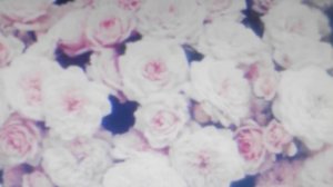 Crystal Castles "AFFECTION" Official