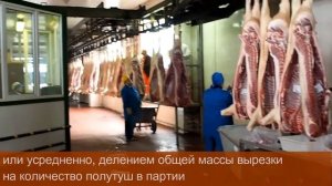 Автоматизация учета сырья на мясоперерабатывающем производстве