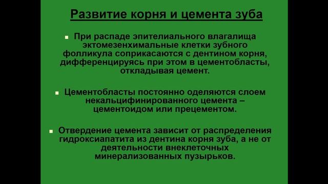 Развитие зуба. Развитие корня и цемента зуба смотреть онлайн
