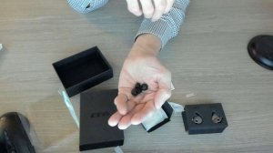 Распаковка CCA Rapsody