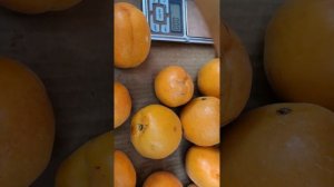 Абрикос Голд Річ на 12.07.2023