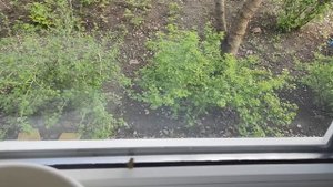 ШОК‼️ОБНАРУЖИЛИ ПОТЕРЮ / ПЕРЕВЕРНУЛИ ВЕСЬ ДОМ / Шиндр Мындр @ShindrMindr_Official