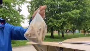 СЕРГЕЙ ЯЦКОБОРОВСКИЙ И ЕГО ЦЫПОЧКИ