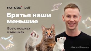 «В центре внимания»: команда R и бездомные кошки и мыши