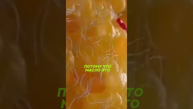 этот продукт тебя разрушает #спорт #рецепт #зож #похудение  #нутрициолог #стресс #потерявеса #шортс