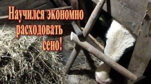 Как сделать кормушку // Бункерная кормушка для сена в реальном времени.