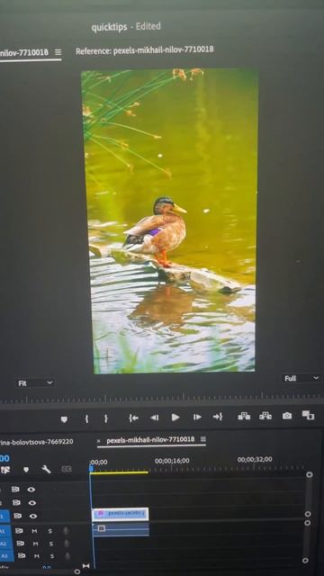 How to stabilize shaky handheld footage in Adobe #premierepro смотреть онлайн