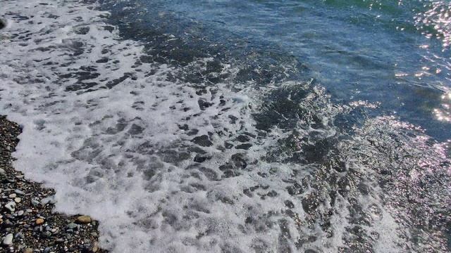 Есть ли мазут на пляже в центре Сочи?