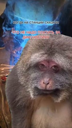 Диагностика для наших клиентов всегда бесплатная! 

#тольятти #диагностикаавто #автосервис